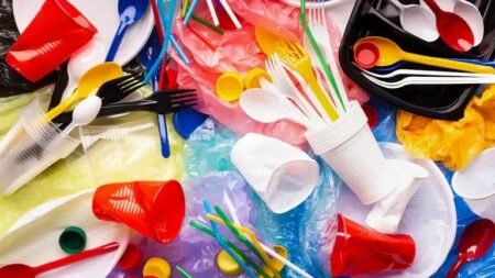 Lagos to enforce ban on single-use plastics from July 1