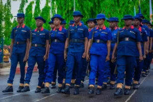 NSCDC foils armed herders attack on Plateau farmers