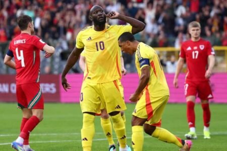 Youri Tielemans celebrates with Romelu Lukaku after the striker put Belgium ahead in their World Cup qualifier against Wales