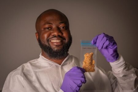 Nigeria’s egusi seed goes to space in historic agric research mission Nigeria's egusi seed goes to space in historic agric research mission