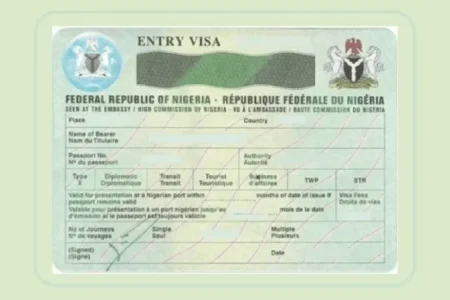 Nigeria Immigration Service launches crackdown on foreign visa overstayers