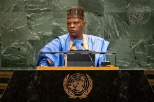 Shettima urges Africa to stop exporting raw materials