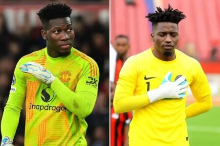 Super Eagles goalkeeper Adeleye begs, 'stop associating me with Onana'