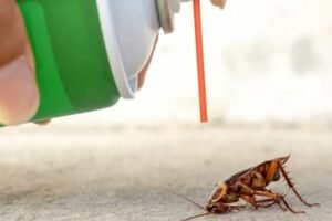 Neighbour dies as woman trying to kill cockroach sets apartment on fire