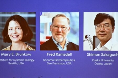 Japanese, US scientists win Nobel Medicine Prize
