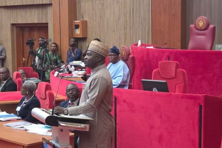 Defence minister warns state govts against peace deals with bandits Senate clash over ex-CDS Musa screening sparks rowdy session