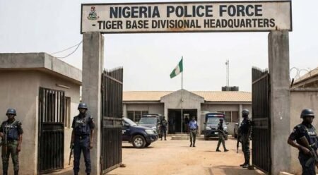 How Tiger Base police officers torture, execute suspects in Imo - Amnesty Int'l 