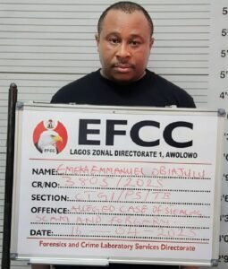Court jails Obiajulu Emmanuel for $850,000 land investment fraud in Lagos