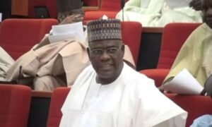 Senator Danjuma Goje speaking during a senate screening session on Nigeria’s power sector reforms.