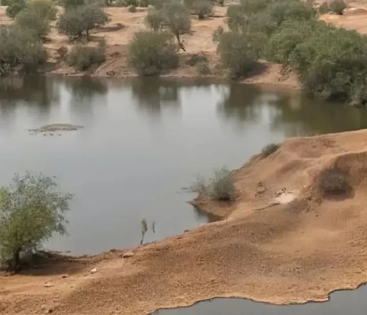 Chadian airstrikes kill scores of Nigerian fishermen in Lake Chad Chadian airstrikes kill scores of Nigerian fishermen in Lake Chad