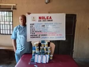 NDLEA arrests two grandpas for selling drugs to students