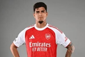 Arsenal complete signing of Hincapie from Leverkusen