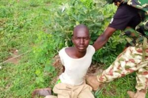 Troops arrest Sudanese man, Ghanaian woman in Borno forest Troops arrest Sudanese man, Ghanaian woman in Borno forest