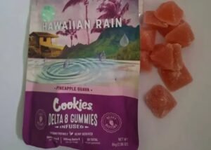 NDLEA warns parents over illicit drugs hidden in cookies, gummies Illicit drugs disguised as cookies and gummies