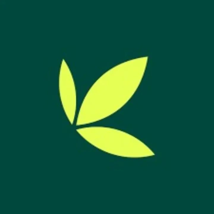 Dangote IPO surge crashes Bamboo App as investors rush to subscribe Bamboo app