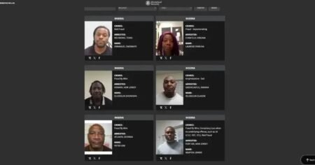 DHS releases photos of 24 Nigerians arrested by ICE